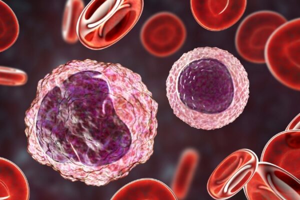 Prikaz limfocita među crvenim krvnim zrncima u krvotoku