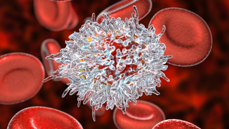 Ilustracija limfocita u krvotoku prikazana u krupnom planu