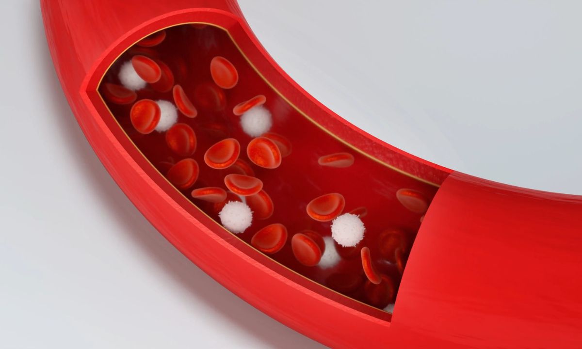 razređivanje crvenih krvnih zrnca