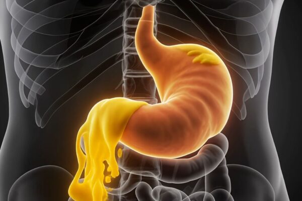 prikaz želudca i želudačne kiseline