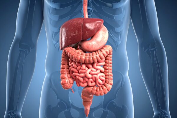 Fekalni kalprotektin