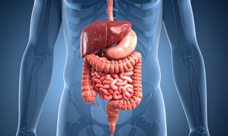 Fekalni kalprotektin – šta pokazuje test iz stolice i kako se tumače rezultati