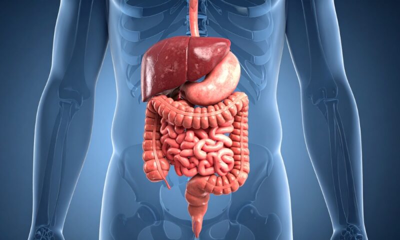 Fekalni kalprotektin