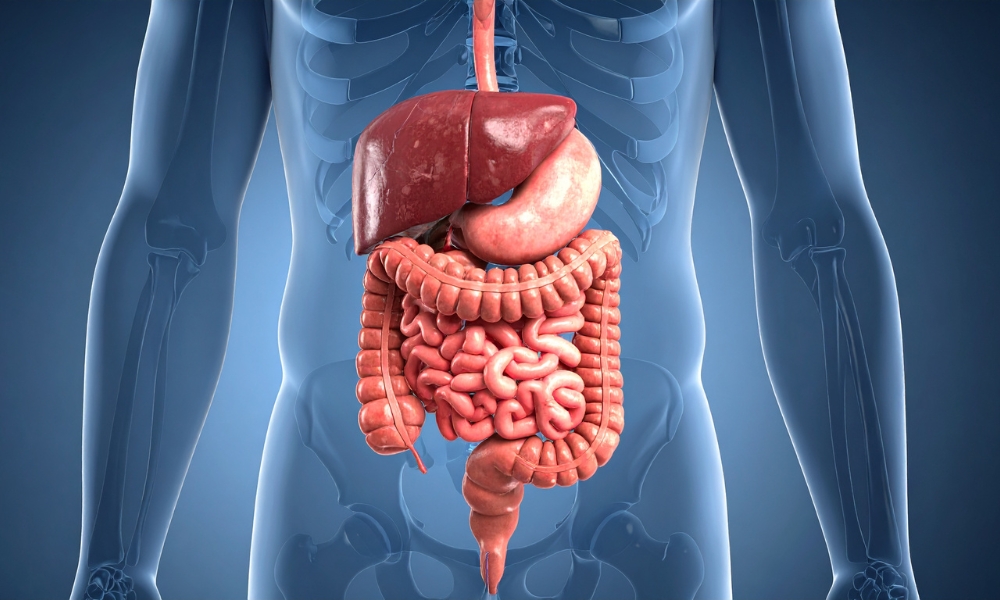 Fekalni kalprotektin