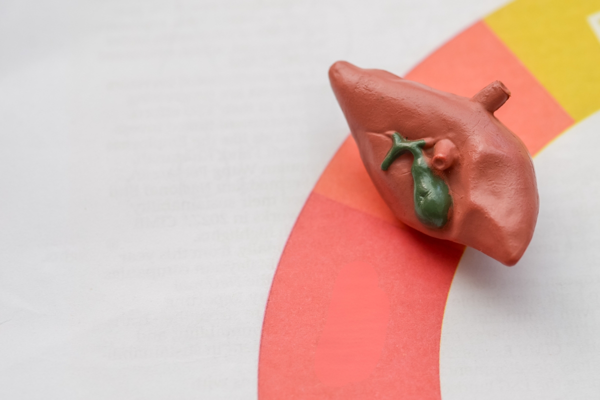 prikaz oštećene jetre